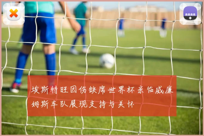 埃斯特旺因伤缺席世界杯亲临威廉姆斯车队展现支持与关怀